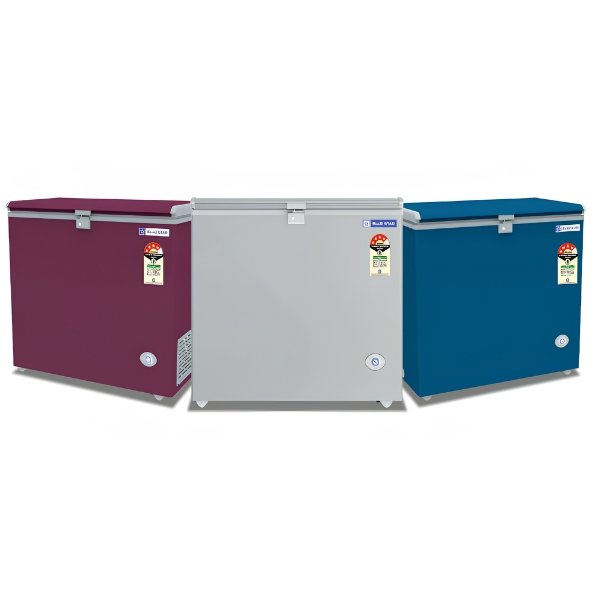 Blue Star 100L Deep Freezer