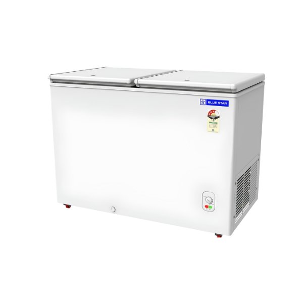 Blue Star 250L Deep Freezer