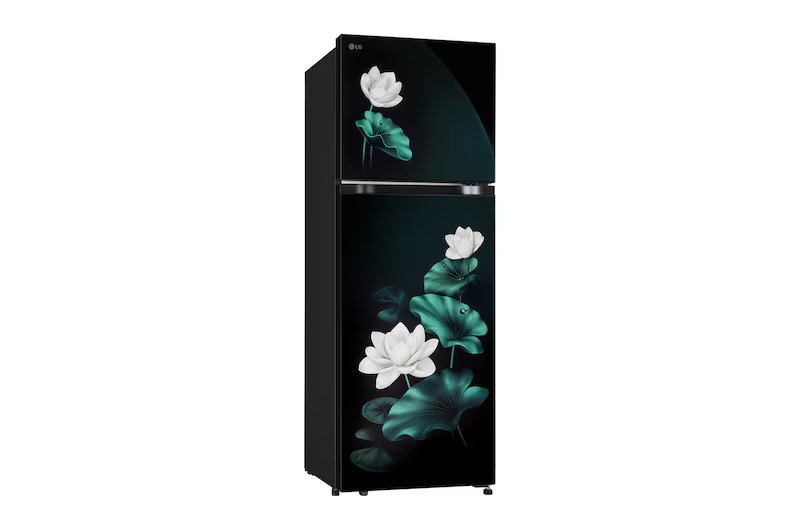 LG Double Door Refrigerator Floral